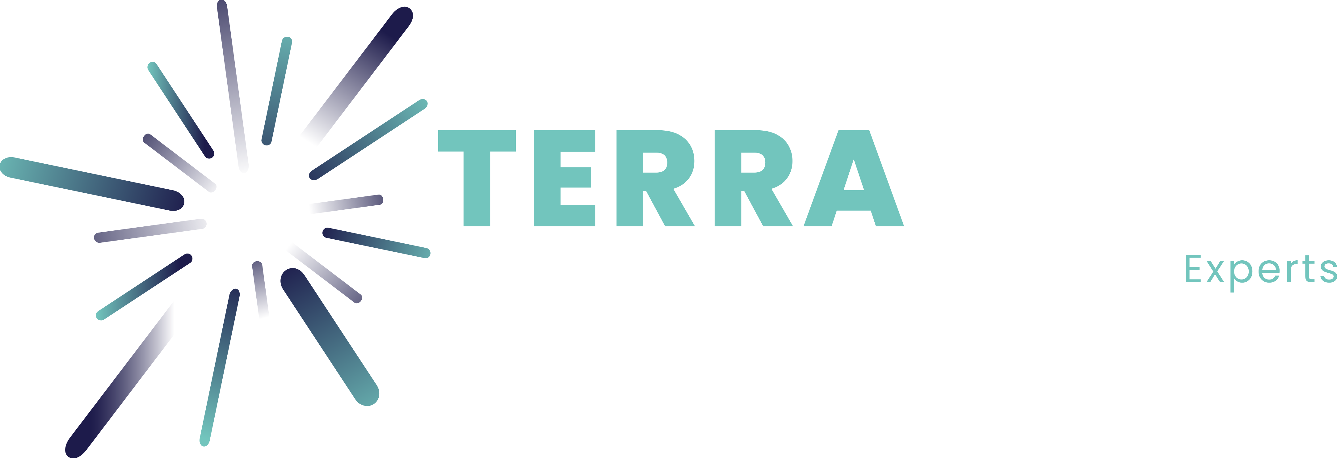 TerraTerre — Géomètres-Experts